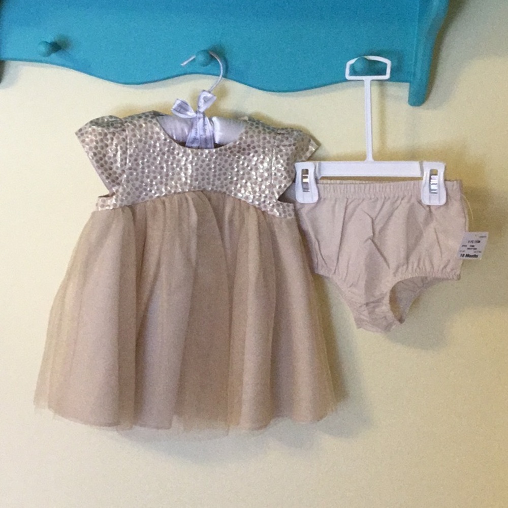 First Impression Dusty Gem dress w/ diaper cover